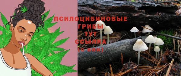 трава Беломорск