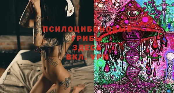 трава Беломорск