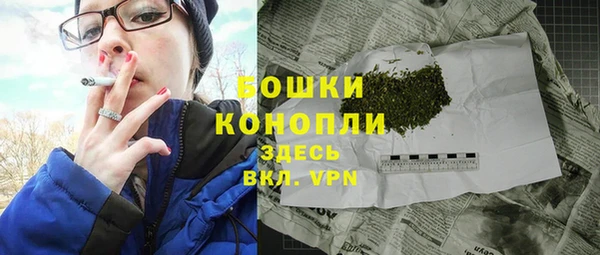 СК Белокуриха