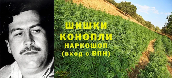 трава Беломорск
